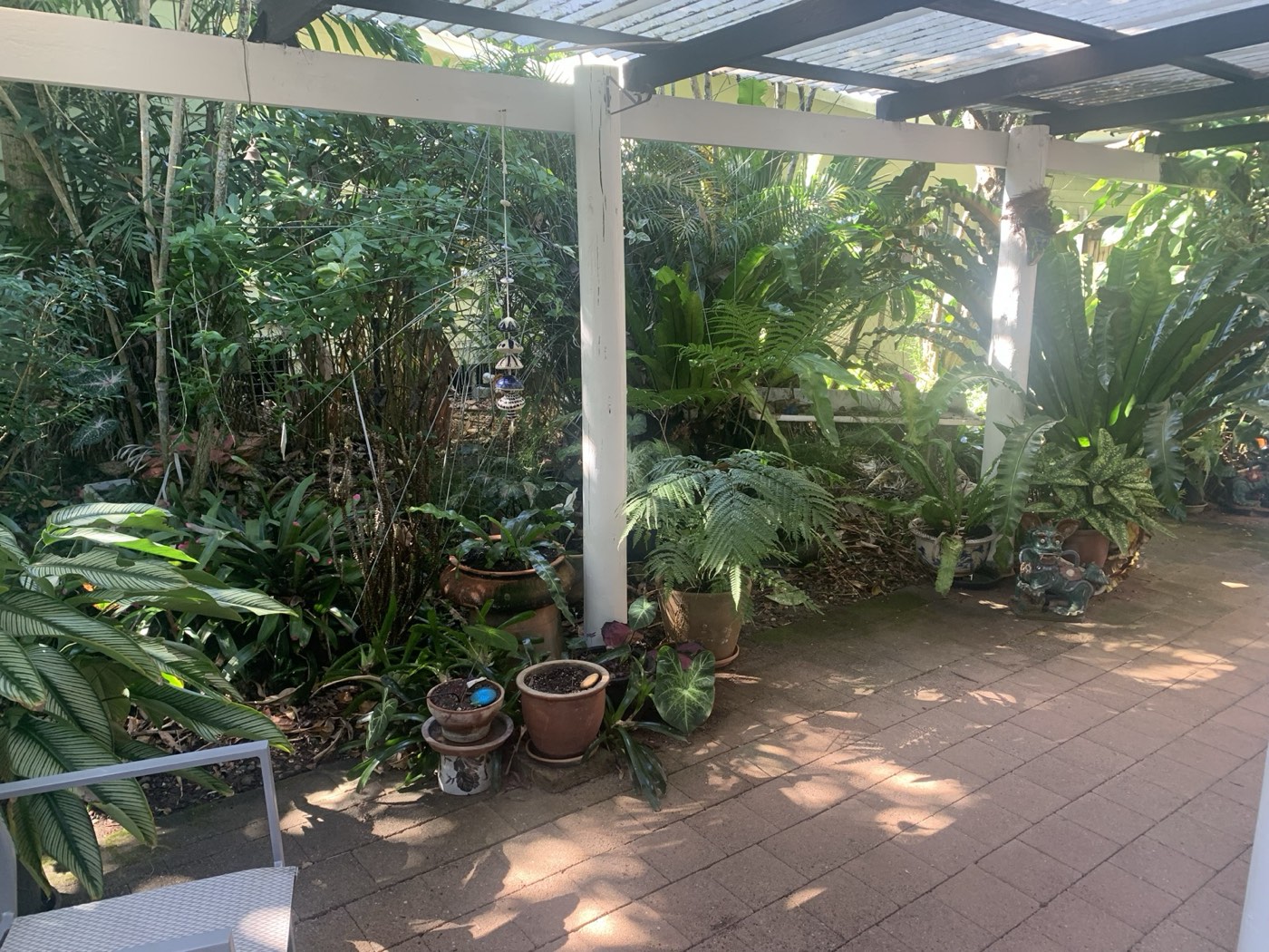 Paved courtyard garden with ferns and potted plants outside the clinic