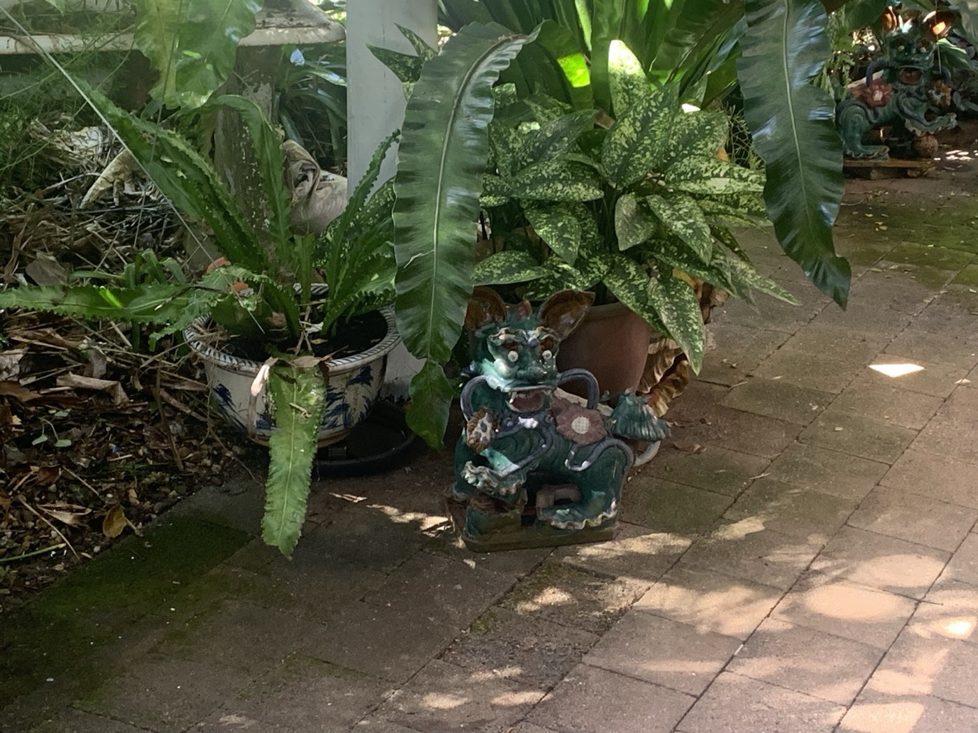 Guardian lion statue among ferns and potted plants near the clinic entrance
