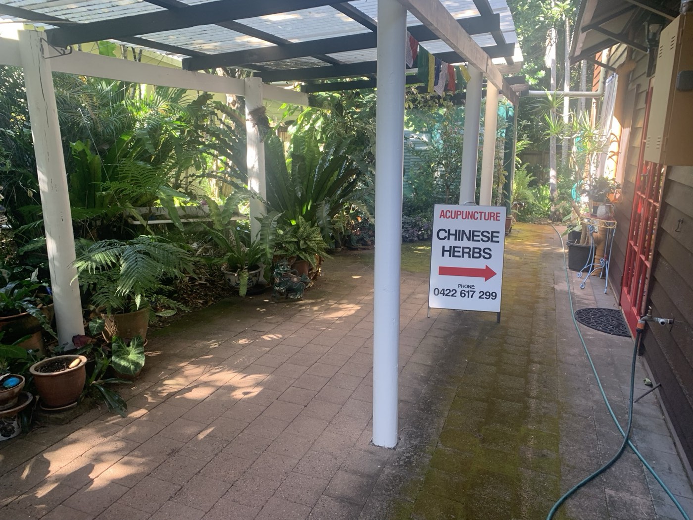 Shaded pergola walkway through the garden approaching the clinic